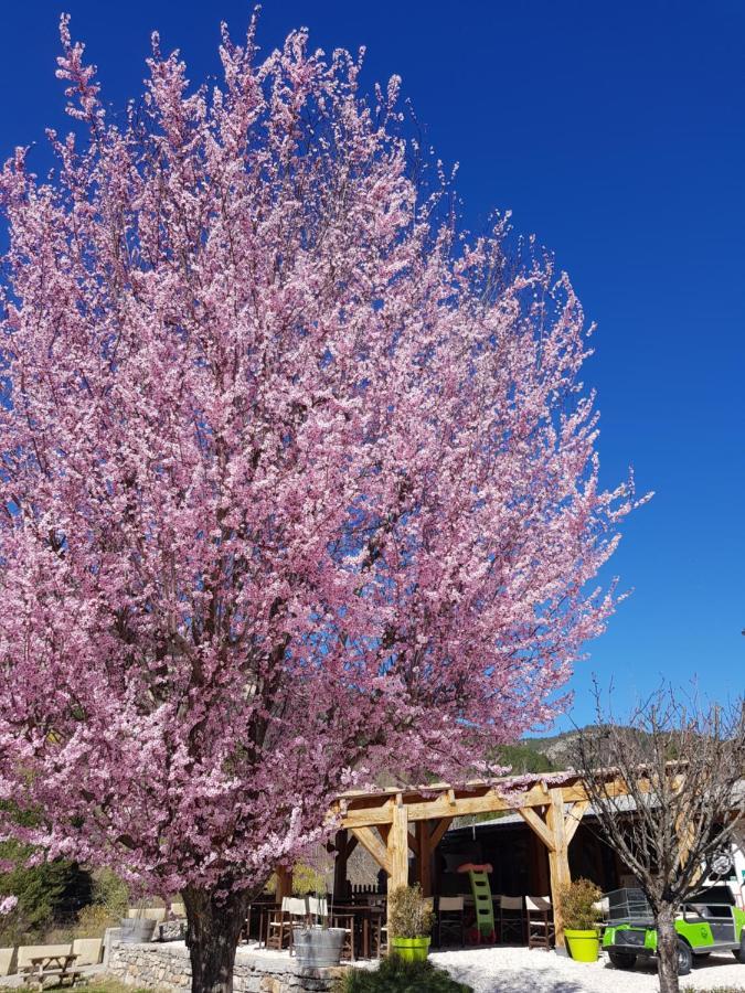 Camping Calme Et Nature 카스텔란 외부 사진